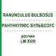 РАНУНКУЛЮС БУЛЬБОЗУС (RANUNCULUS BULBOSUS) LM XVIII раствор 10 мл - Гомеопатия DHU