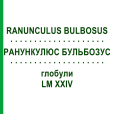 РАНУНКУЛЮС БУЛЬБОЗУС (RANUNCULUS BULBOSUS) LM XXIV глобули 5 г - Гомеопатия DHU