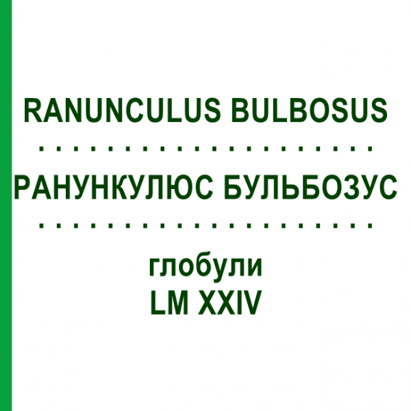 РАНУНКУЛЮС БУЛЬБОЗУС (RANUNCULUS BULBOSUS) LM XXIV глобули 5 г - Гомеопатия DHU