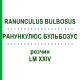 РАНУНКУЛЮС БУЛЬБОЗУС (RANUNCULUS BULBOSUS) LM XXIV раствор 10 мл - Гомеопатия DHU