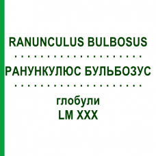 РАНУНКУЛЮС БУЛЬБОЗУС (RANUNCULUS BULBOSUS) LM XXX глобули 5 г - Гомеопатия DHU