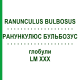 РАНУНКУЛЮС БУЛЬБОЗУС (RANUNCULUS BULBOSUS) LM XXX глобули 5 г - Гомеопатия DHU
