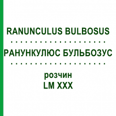 РАНУНКУЛЮС БУЛЬБОЗУС (RANUNCULUS BULBOSUS) LM XXX раствор 10 мл - Гомеопатия DHU
