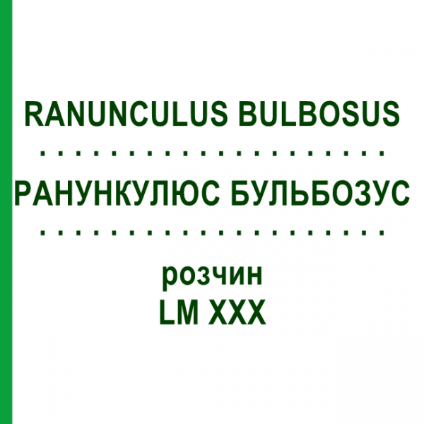 РАНУНКУЛЮС БУЛЬБОЗУС (RANUNCULUS BULBOSUS) LM XXX раствор 10 мл - Гомеопатия DHU