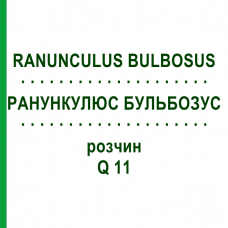 РАНУНКУЛЮС БУЛЬБОЗУС (RANUNCULUS BULBOSUS) Q 11 раствор 15 мл - Гомеопатия GUDJONS