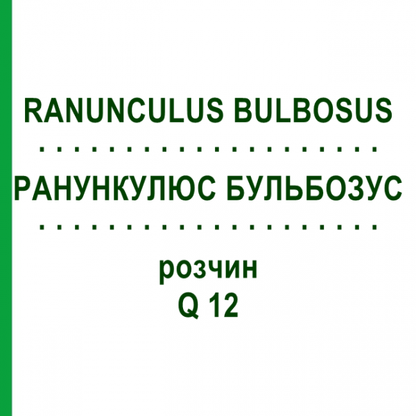 РАНУНКУЛЮС БУЛЬБОЗУС (RANUNCULUS BULBOSUS) Q 12 розчин 15 мл - Гомеопатія GUDJONS