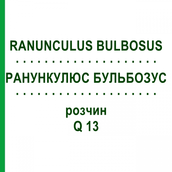 РАНУНКУЛЮС БУЛЬБОЗУС (RANUNCULUS BULBOSUS) Q 13 розчин 15 мл - Гомеопатія GUDJONS