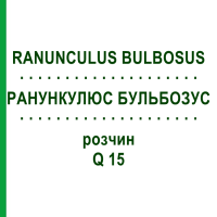 РАНУНКУЛЮС БУЛЬБОЗУС (RANUNCULUS BULBOSUS) Q 15 розчин 15 мл - Гомеопатія GUDJONS
