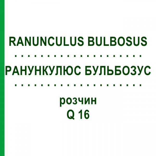 РАНУНКУЛЮС БУЛЬБОЗУС (RANUNCULUS BULBOSUS) Q 16 розчин 15 мл - Гомеопатія GUDJONS