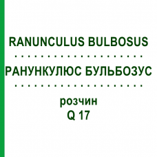 РАНУНКУЛЮС БУЛЬБОЗУС (RANUNCULUS BULBOSUS) Q 17 розчин 15 мл - Гомеопатія GUDJONS