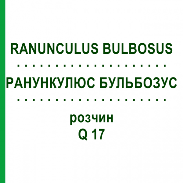 РАНУНКУЛЮС БУЛЬБОЗУС (RANUNCULUS BULBOSUS) Q 17 розчин 15 мл - Гомеопатія GUDJONS