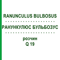 РАНУНКУЛЮС БУЛЬБОЗУС (RANUNCULUS BULBOSUS) Q 19 розчин 15 мл - Гомеопатія GUDJONS