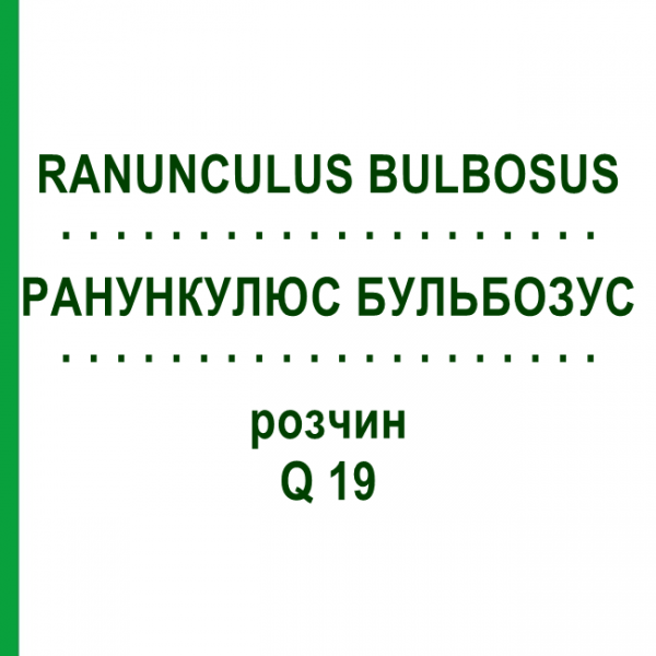 РАНУНКУЛЮС БУЛЬБОЗУС (RANUNCULUS BULBOSUS) Q 19 розчин 15 мл - Гомеопатія GUDJONS