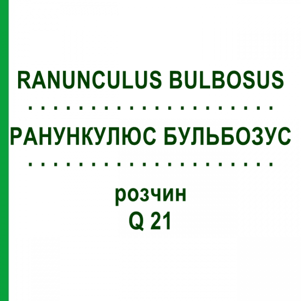 РАНУНКУЛЮС БУЛЬБОЗУС (RANUNCULUS BULBOSUS) Q 21 раствор 15 мл - Гомеопатия GUDJONS