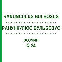 РАНУНКУЛЮС БУЛЬБОЗУС (RANUNCULUS BULBOSUS) Q 24 раствор 15 мл - Гомеопатия GUDJONS