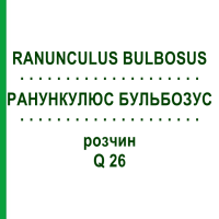 РАНУНКУЛЮС БУЛЬБОЗУС (RANUNCULUS BULBOSUS) Q 26 розчин 15 мл - Гомеопатія GUDJONS