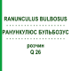 РАНУНКУЛЮС БУЛЬБОЗУС (RANUNCULUS BULBOSUS) Q 26 розчин 15 мл - Гомеопатія GUDJONS