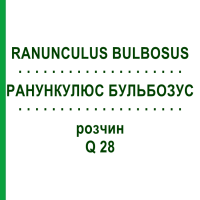 РАНУНКУЛЮС БУЛЬБОЗУС (RANUNCULUS BULBOSUS) Q 28 розчин 15 мл - Гомеопатія GUDJONS