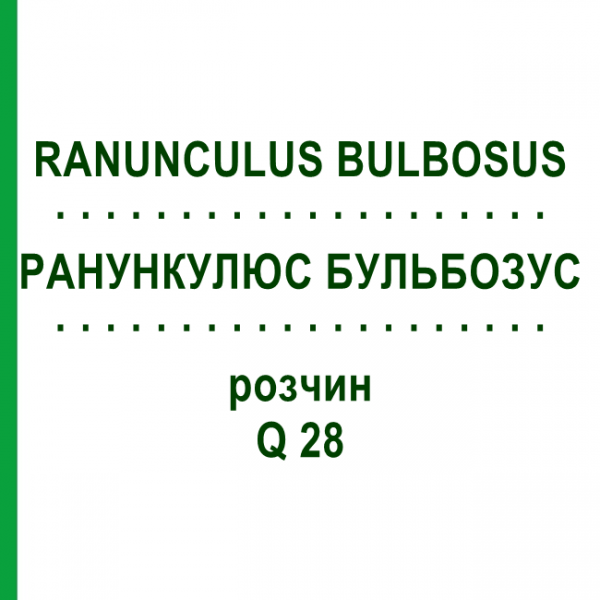 РАНУНКУЛЮС БУЛЬБОЗУС (RANUNCULUS BULBOSUS) Q 28 розчин 15 мл - Гомеопатія GUDJONS