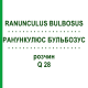 РАНУНКУЛЮС БУЛЬБОЗУС (RANUNCULUS BULBOSUS) Q 28 розчин 15 мл - Гомеопатія GUDJONS