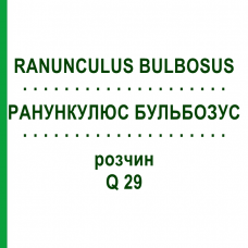 РАНУНКУЛЮС БУЛЬБОЗУС (RANUNCULUS BULBOSUS) Q 29 розчин 15 мл - Гомеопатія GUDJONS