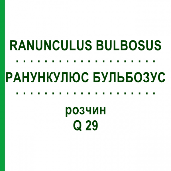 РАНУНКУЛЮС БУЛЬБОЗУС (RANUNCULUS BULBOSUS) Q 29 розчин 15 мл - Гомеопатія GUDJONS