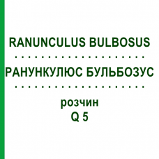 РАНУНКУЛЮС БУЛЬБОЗУС (RANUNCULUS BULBOSUS) Q 5 раствор 15 мл - Гомеопатия GUDJONS