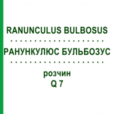 РАНУНКУЛЮС БУЛЬБОЗУС (RANUNCULUS BULBOSUS) Q 7 раствор 15 мл - Гомеопатия GUDJONS