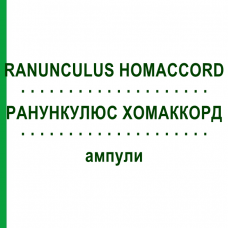 РАНУНКУЛЮС ХОМАККОРД (RANUNCULUS HOMACCORD) ампули 100 шт - Гомеопатія BIOLOGISCHE HEILMITTEL HEEL