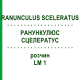 РАНУНКУЛЮС СЦЕЛЕРАТУС (RANUNCULUS SCELERATUS) LM 1 розчин 10 мл - Гомеопатія ARCANA DR.SEWERIN
