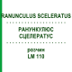 РАНУНКУЛЮС СЦЕЛЕРАТУС (RANUNCULUS SCELERATUS) LM 110 розчин 10 мл - Гомеопатія ARCANA DR.SEWERIN