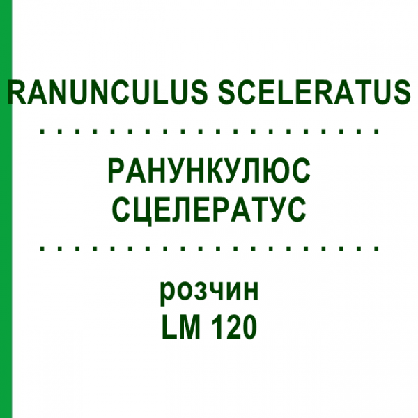 РАНУНКУЛЮС СЦЕЛЕРАТУС (RANUNCULUS SCELERATUS) LM 120 раствор 10 мл - Гомеопатия ARCANA DR.SEWERIN