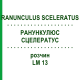 РАНУНКУЛЮС СЦЕЛЕРАТУС (RANUNCULUS SCELERATUS) LM 13 розчин 10 мл - Гомеопатія ARCANA DR.SEWERIN