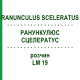 РАНУНКУЛЮС СЦЕЛЕРАТУС (RANUNCULUS SCELERATUS) LM 19 розчин 10 мл - Гомеопатія ARCANA DR.SEWERIN