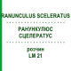 РАНУНКУЛЮС СЦЕЛЕРАТУС (RANUNCULUS SCELERATUS) LM 21 розчин 10 мл - Гомеопатія ARCANA DR.SEWERIN