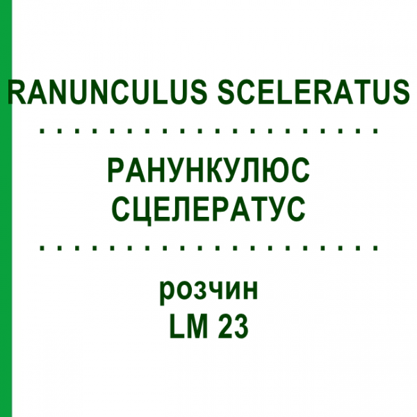 РАНУНКУЛЮС СЦЕЛЕРАТУС (RANUNCULUS SCELERATUS) LM 23 розчин 10 мл - Гомеопатія ARCANA DR.SEWERIN