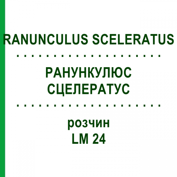 РАНУНКУЛЮС СЦЕЛЕРАТУС (RANUNCULUS SCELERATUS) LM 24 раствор 10 мл - Гомеопатия ARCANA DR.SEWERIN