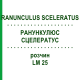 РАНУНКУЛЮС СЦЕЛЕРАТУС (RANUNCULUS SCELERATUS) LM 25 розчин 10 мл - Гомеопатія ARCANA DR.SEWERIN