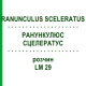РАНУНКУЛЮС СЦЕЛЕРАТУС (RANUNCULUS SCELERATUS) LM 29 розчин 10 мл - Гомеопатія ARCANA DR.SEWERIN