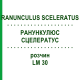 РАНУНКУЛЮС СЦЕЛЕРАТУС (RANUNCULUS SCELERATUS) LM 30 розчин 10 мл - Гомеопатія ARCANA DR.SEWERIN