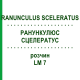 РАНУНКУЛЮС СЦЕЛЕРАТУС (RANUNCULUS SCELERATUS) LM 7 розчин 10 мл - Гомеопатія ARCANA DR.SEWERIN