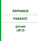 РАФАНУС (RAPHANUS) LM 23 розчин 10 мл - Гомеопатія ARCANA DR.SEWERIN