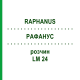 РАФАНУС (RAPHANUS) LM 24 розчин 10 мл - Гомеопатія ARCANA DR.SEWERIN