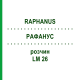 РАФАНУС (RAPHANUS) LM 26 розчин 10 мл - Гомеопатія ARCANA DR.SEWERIN