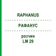 РАФАНУС (RAPHANUS) LM 29 розчин 10 мл - Гомеопатія ARCANA DR.SEWERIN