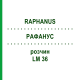 РАФАНУС (RAPHANUS) LM 36 розчин 10 мл - Гомеопатія ARCANA DR.SEWERIN