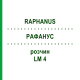 РАФАНУС (RAPHANUS) LM 4 розчин 10 мл - Гомеопатія ARCANA DR.SEWERIN