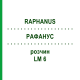 РАФАНУС (RAPHANUS) LM 6 розчин 10 мл - Гомеопатія ARCANA DR.SEWERIN