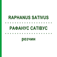 РАФАНУС САТІВУС (RAPHANUS SATIVUS) розчин 20 мл - Гомеопатія DHU
