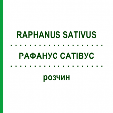РАФАНУС САТИВУС (RAPHANUS SATIVUS) раствор 20 мл - Гомеопатия DHU